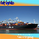  DDP Sea Shipping/Air Cargo/Railway Train Freight Forwarder to France/Germany Fba Amazon Export Agents Logistics Rates Express UPS