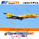  Shipping Forwarder Shenzhen Service Express DHL Tracking From China Air Cargo to Seattle/Los Angeles/Phoenix/Denver