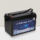 12V/100ah Low Self-Discharge AGM Replacement LiFePO4 Battery for UPS/Ess with BMS manufacturer