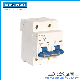 125A 2p Miniature Circuit Breaker with CCC/CE/ISO9001