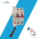 Customizable 1p2p3p4p 16ATO 100A 6ka Capacity 4G MCB Tuya 4G Smart Miniature Circuit Breaker