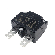  125/250V AC 50VDC 10A/15A/20A/25A/30A Mini Size Thermal Overload Protector Push Button Switch Automat Circuit Breaker