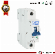 Nova DAB7-63 6ka 1pole Asta Approved Miniature Circuit Breaker MCB manufacturer