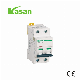 IC60 2p Mini Circuit Breaker manufacturer