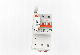  2p Tuya Smart WiFi Metering Miniature Circuit Breaker