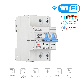 WiFi Circuit Breaker 2p 80A-100A manufacturer