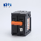  Bhp Mini Circuit Breaker for Plug in Type