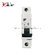 China Factory Supply Mini Circuit Breaker with CE (C60)