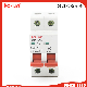  Miniature Circuit Breaker 4.5ka 63A CB CE Knb1-63 2p