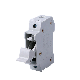  Au Standard MCB 4.5ka 1 Pole 4A to 63A C-Curve Circuit Breaker