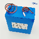  Manufacturer Wholesale 12V 24ah 24ah 30ah 36ah 42ah LiFePO4/Lithium Iron Phosphate Battery for EV Robots All-in-One Solar Street Lights Emergency Power Supply