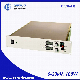 High Voltage Power Supply switching regulated unit module 100W 0-20kV