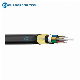  OEM Single-Mode Changrong Tech China Fiber Optic Factory Optical Cable