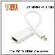 Anera Hot Sale 4K Slim Style Mini Dp Display to HDMI Converter Video Converter Adapter Cable
