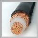 China Wire Manufacturer XLPE Shield Insulation Sheath Yjov Electric Cable Coaxial Cable for Power Distriction Wire Guangdong