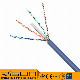 UTP CAT6A Wholesale Price Cable for Network manufacturer