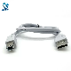  China Factory Cable Harness USB Data Sync Lead White USB 2.0 Am to Bm Cable Assembly for Computer/Printer