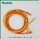 Patch Cord Twisted 4 Pair Computer Wire Copper Solid Networking Factory Direct Hot Sale Cable