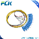 Optical Fiber Colorful Bundle Mutil-Cores Fiber Optic Fan-out Pigtails Sc/LC/12 LSZH Fibers Pigtail