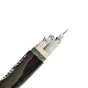  XLPE Insulated PVC Sheath Alumnium Conductor Control Cable Power Cable