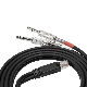 RJ45 Male to 2 X Stereo 6.3mm Trs Audio Patch Cable