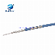 Manufacture High Performance Best Price Lx-50-086 Handy-Form Coaxial Cable for Communication