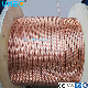 Conductivity 15% China Original Copper Clad Steel Wire for Power Transmission CCS Wire