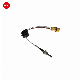  Diesel Engine Parts Factory Price 24V Glow Plugs 252070011100 for Eberspacher Airtronic D2 D4 D4s