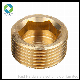  Made in China Brass Hexagon Socket Pipe Plugs