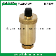  ISO9001 Cetified Brass Forged Air Vent Valve (IC-3066)