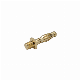  4mm Connector Male Bullet Banana Plug 4mm Gold Plating Leadless Brass M5 Thread Square Shape