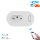 Programmable Smart WiFi LED Socket Outlet Wireless Electric Plug-in Socket Temperature with CE, FCC, RoHS manufacturer