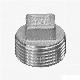 Stainless Steel Screwed Threaded Pipe Fittings Square Plug