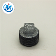  Factory Supply All Size Malleable Iron Fittings Plain End Plug
