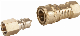 Brass Quick-Connect Coupling for Natural Gas Hoses