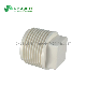  Plastic BS Thread Water Pipe Fittings PVC Male End Plug