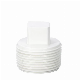 White Color Round All Kinds of Pipes and Fittings End UPVC PVC Pipe Fitting End Plug Can Be Customized According to Requirements