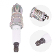 Japanese Auto Iridium Spark Plug 90919-01210 for Toyota