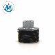  Water Connection High Quality Hot Dipped Galvanized 1 Inch DIN Beaded End Plug