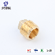 Brass Square End Cap Pipe Fitting Plug manufacturer