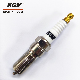 Fuel-Saving Auto Iridium Spark Plug Aix-LTR5-15