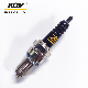  Motorcycle Normal Spark Plug D8tc with Black Ceramic
