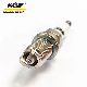  3 Ground Electrodes Automobile Iridium/Platinum Spark Plug S-Hb6aix-11p with Longer Life