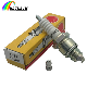 Durable Truck Accessory Bp6HS 4511 Nickel Iridium Bujias Spark Plug manufacturer