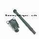  Suitable for Truck Weichai Engine Ignition Coils 1000264408