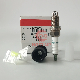  Genuine Isl Gas Engine Parts Spark Plug 5473009 5443024