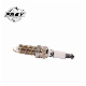 Spark Plug for E81 E90 E60 F18 F01 F02 N52 12120037663