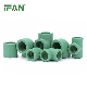  Ifan Factory Price Green Colour High Pressure Pn25 Polypropylene Socket Fittingsfor PPR Water Pipe