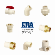 Era CPVC/Plastic/Pressure Fittings Brass Thread Reducing Socket ASTM D2846 with Good Price