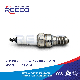  Reeco OE Quality Motorcycle Spark Plug Cr9eh-9 for Honda/YAMAHA/Suzuki/Bajaj/Tvs